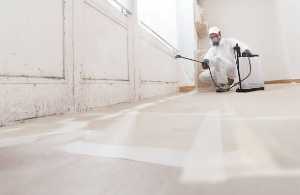24/7 Emergency Attic Mold Remediation experts in Sea Cliff, NY